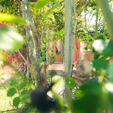 Il Vecchio Noce Guest house Brugnato