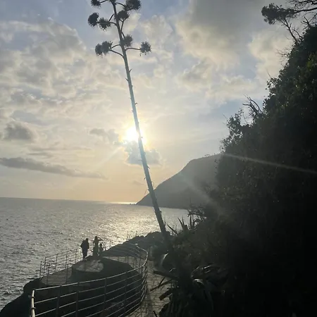 Il Vecchio Noce ברוניאטו