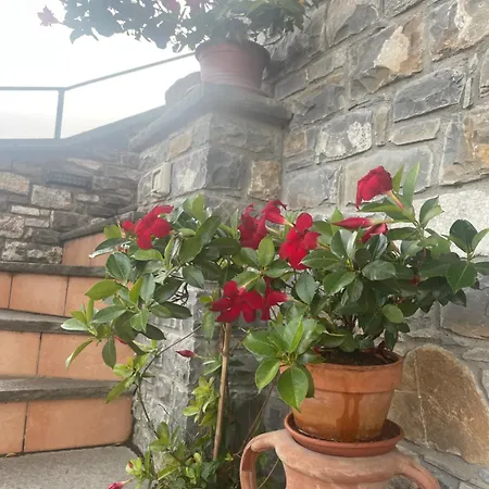 Il Vecchio Noce 3* Brugnato