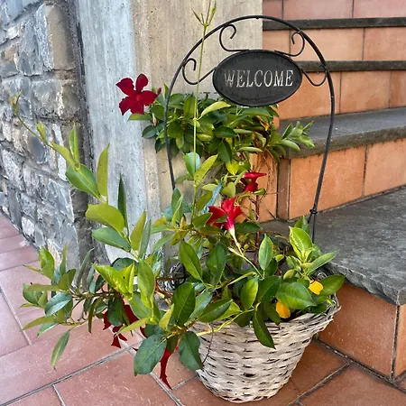 Penzion Il Vecchio Noce