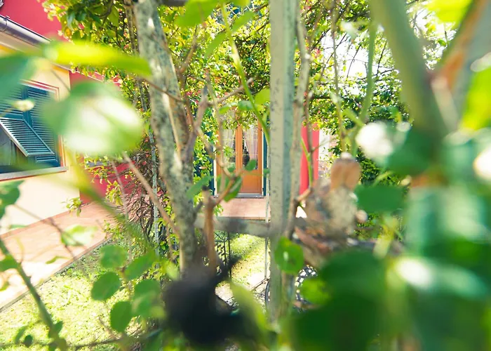 Il Vecchio Noce Gasthuis Brugnato