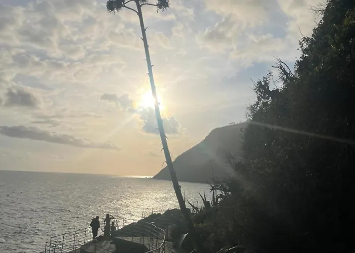 Il Vecchio Noce Brugnato