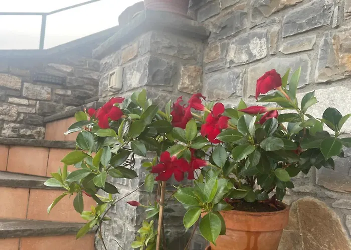 Il Vecchio Noce 3* Brugnato