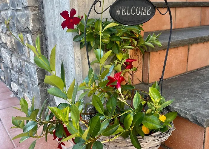 Casa de hóspedes Il Vecchio Noce